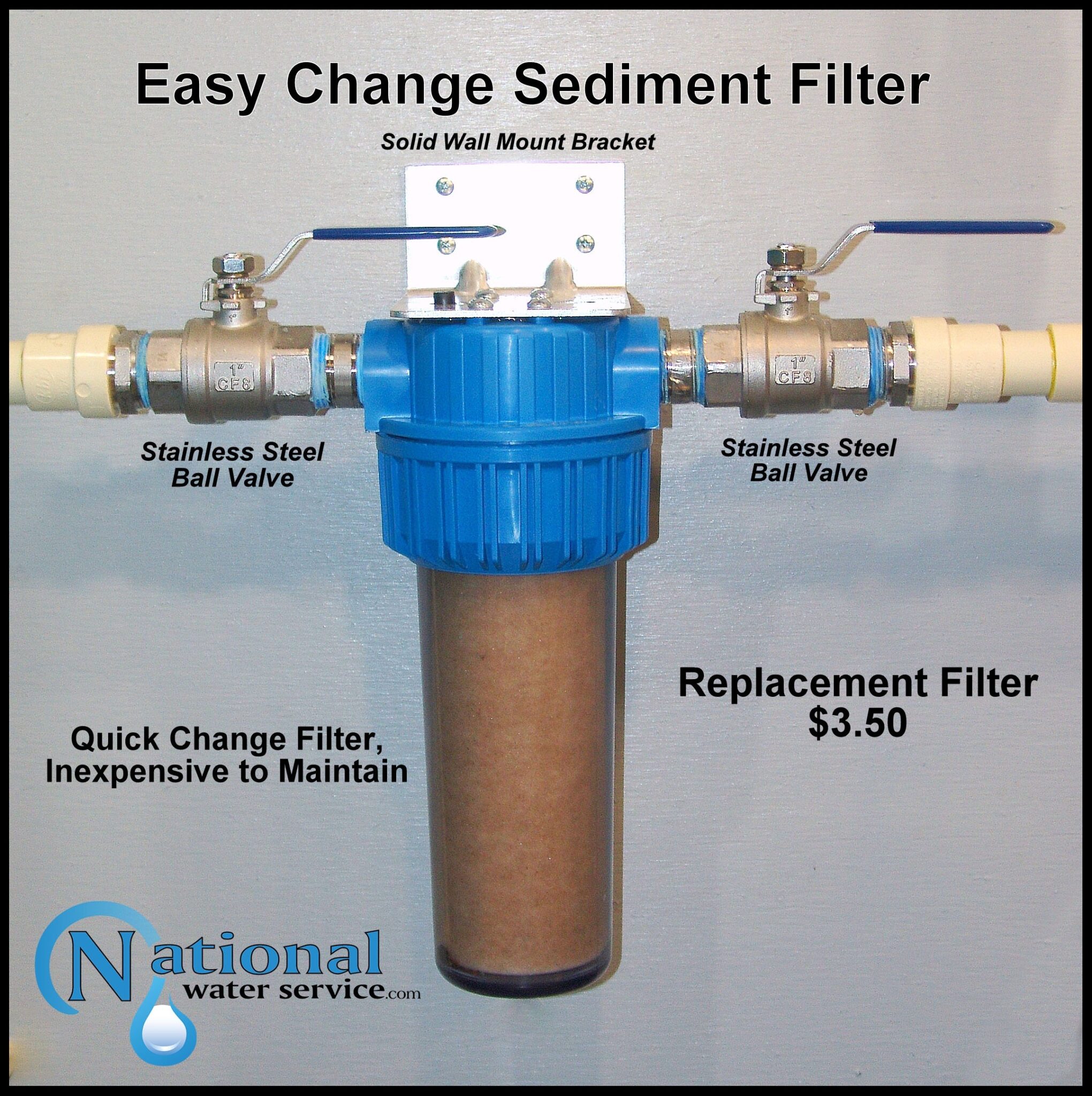 A blue and clear sediment filter is installed between two stainless steel ball valves on a wall. Text describes it as an easy-to-change, inexpensive filter with a $3.50 replacement cost. National Water Service logo is at the bottom left.