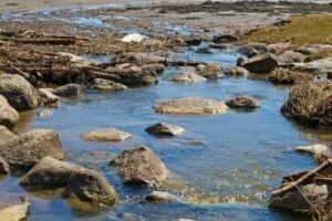 water runoff in nature