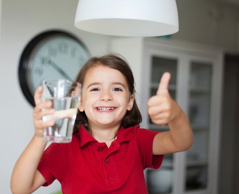 Best Under the Sink Water Filters