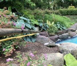A garden with lush green plants and pink flowers borders a swimming pool lined with rocks, offering a peaceful oasis in Frederick County, with trees and shrubs in the background—a perfect retreat after enjoying local water service amenities. A garden with lush green plants and pink flowers borders a swimming pool lined with rocks, offering a peaceful oasis in Frederick County, with trees and shrubs in the background—a perfect retreat after enjoying local water service amenities.