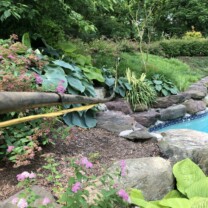 water line