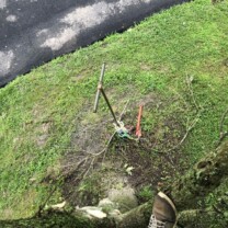 cutting tree limbs to gain access to customers water well