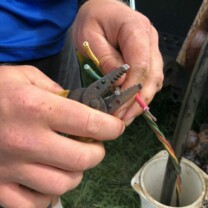 repairing broken wire