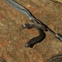 broken wire