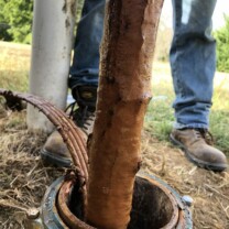 iron on pipe